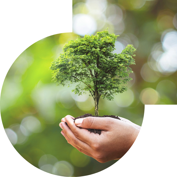 关怀人类、文化、环境与社会