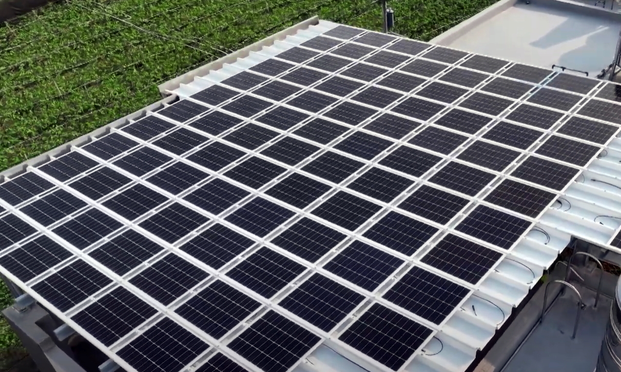 jinnian金年会SunSteel光电浪板升级双玻结构，以提升机械负载强度及气候耐候度，可广泛运用于多元场域