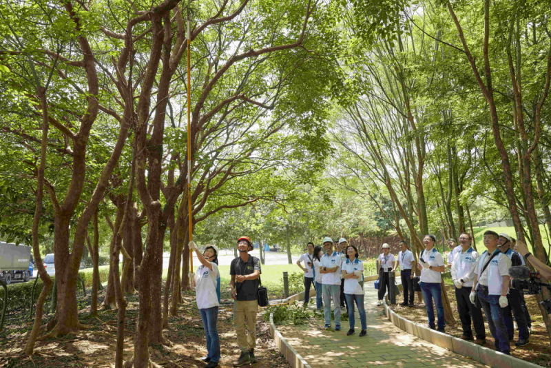 藝師教導大家認識樹木、檢查樹的健康狀況，學習修枝及碎枝覆土
